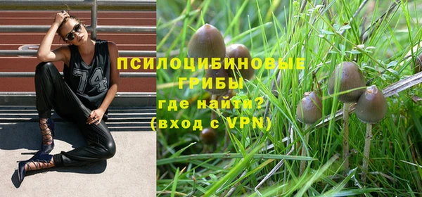 mdpv Арсеньев