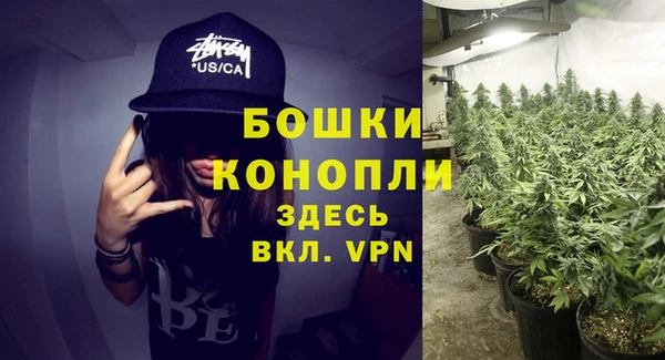 mdpv Арсеньев