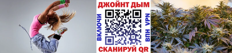 Каннабис сатива Глазов